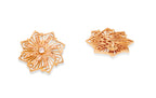 CAREE GOLD EARRINGS