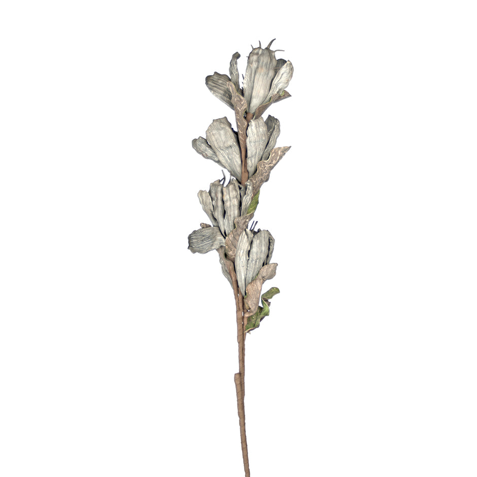 Bird flower