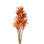 Dracaena flower burnt orange