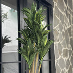 Dracaena flower green