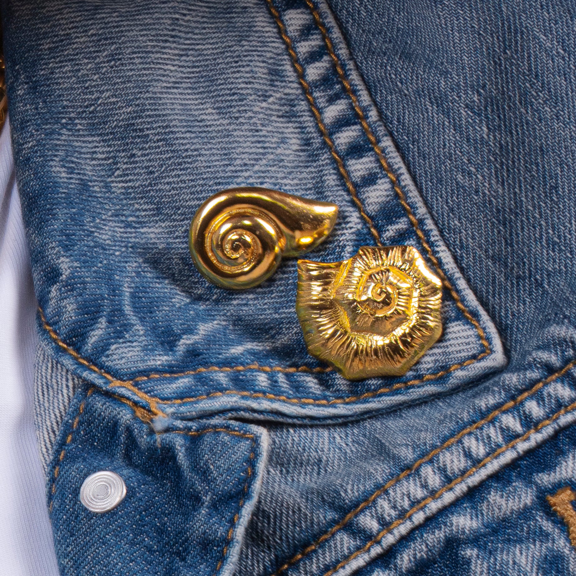 Moon Snail Brooch - Gold Tone