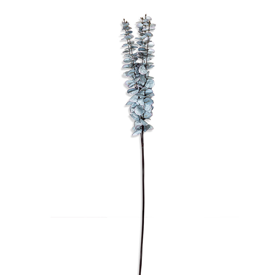 Eucalyptus blue