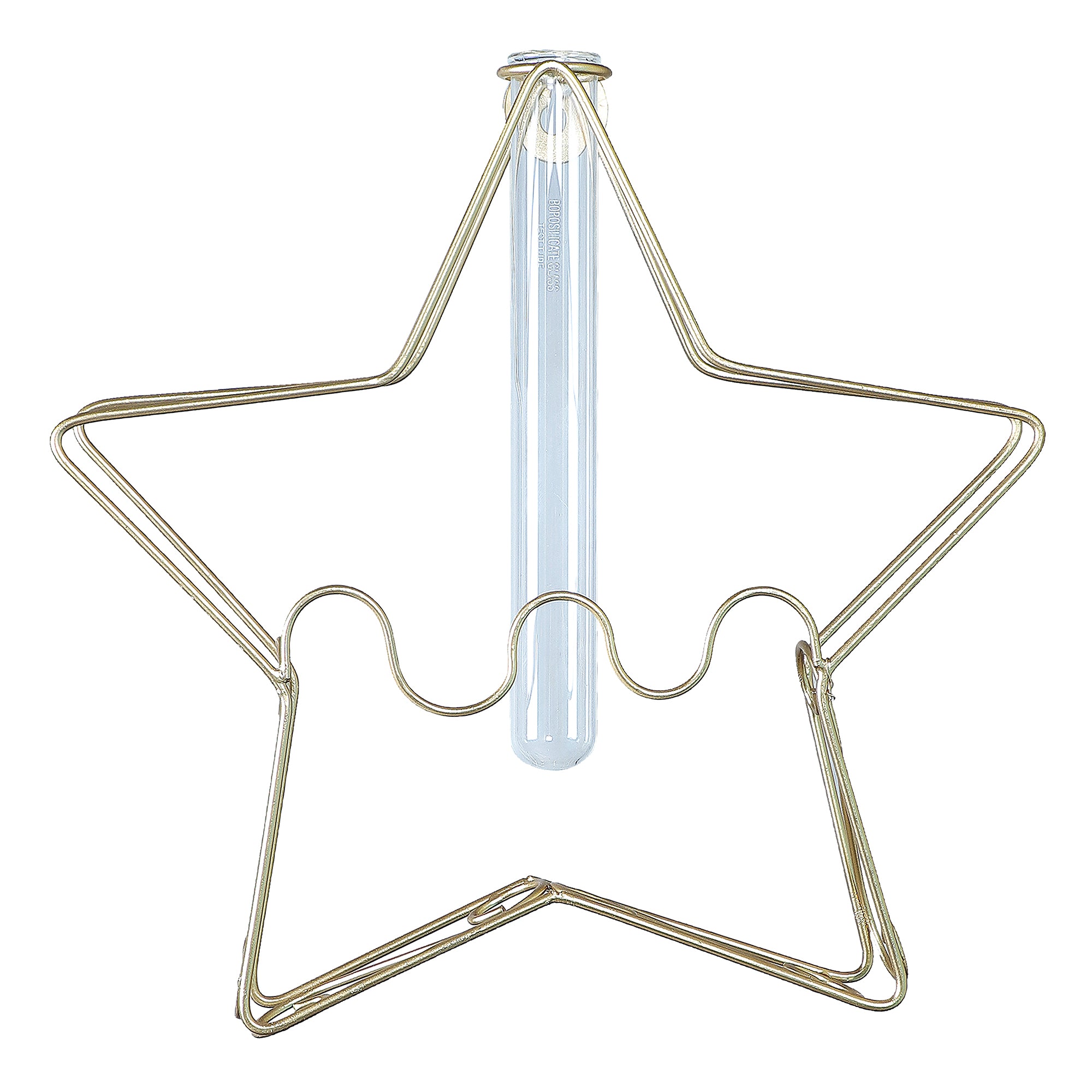 Amaya Decors Test Tube Wall Table Planter Set of 4