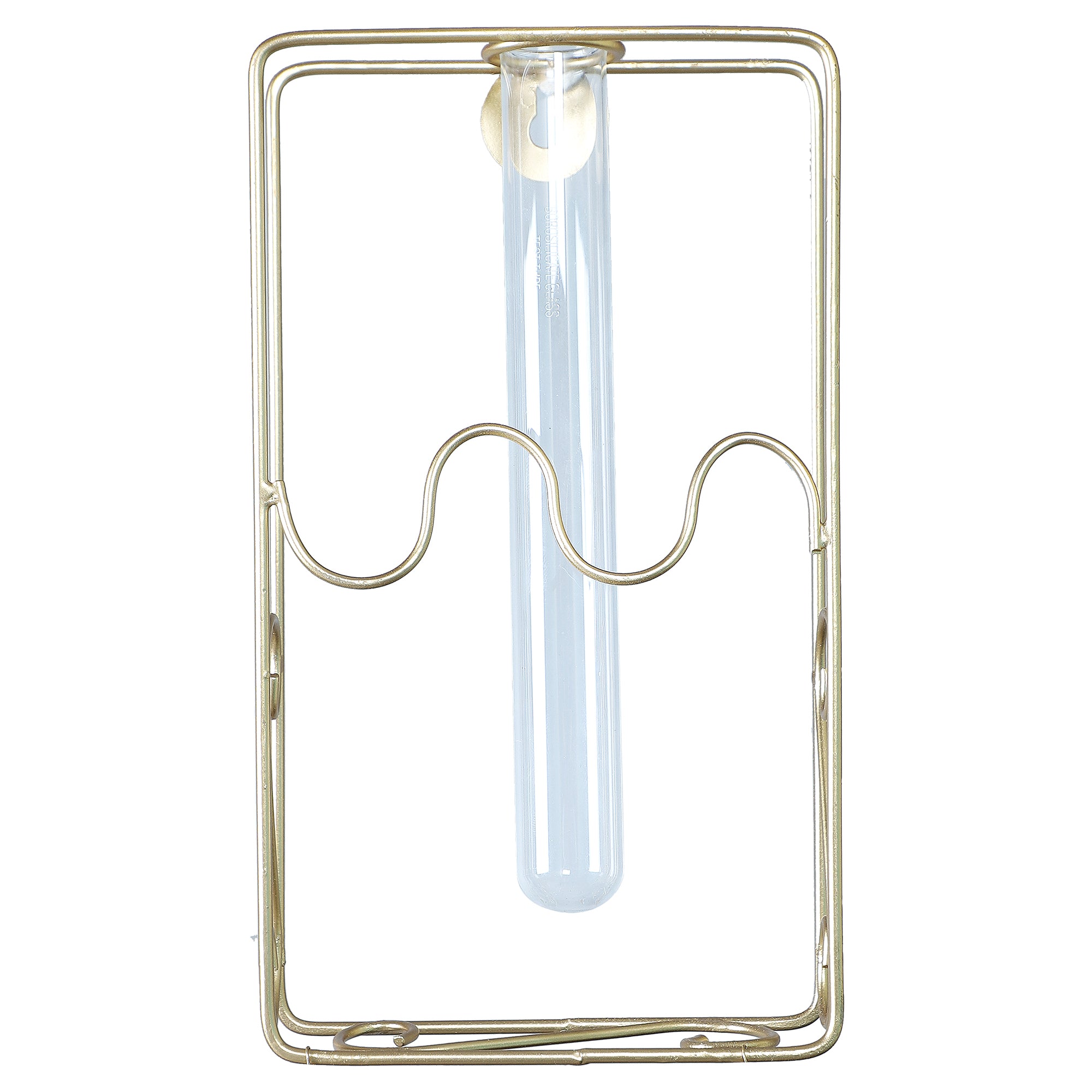 Amaya Decors Test Tube Wall Table Planter Set of 4