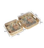 Amaya Decors Square Flower Tray Set of 2