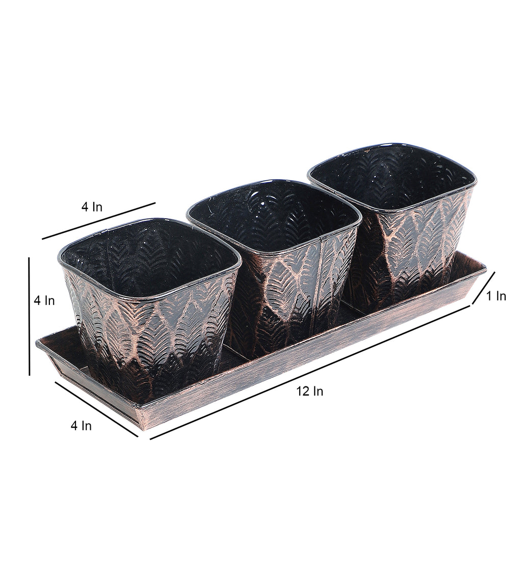 Amaya Decors Copper & Black Metal Table Planters with Tray Set of 4
