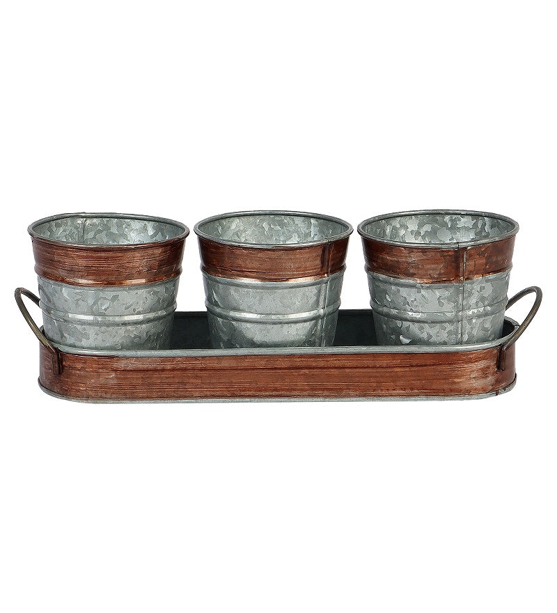 Amaya Decors Brown & Silver Metal Table Planters with Tray Set of 4