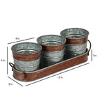 Amaya Decors Brown & Silver Metal Table Planters with Tray Set of 4