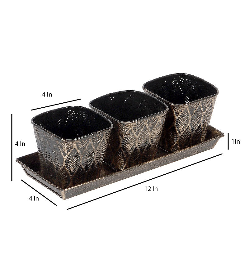 Amaya Decors Black & Gold Metal Table Planters with Tray Set of 4