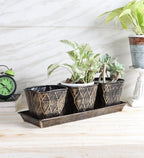 Amaya Decors Black & Gold Metal Table Planters with Tray Set of 4