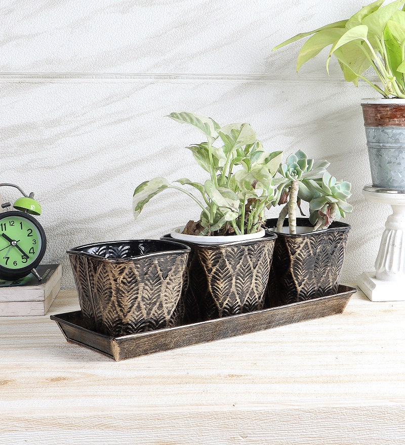 Amaya Decors Black & Gold Metal Table Planters with Tray Set of 4