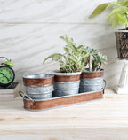 Amaya Decors Brown & Silver Metal Table Planters with Tray Set of 4