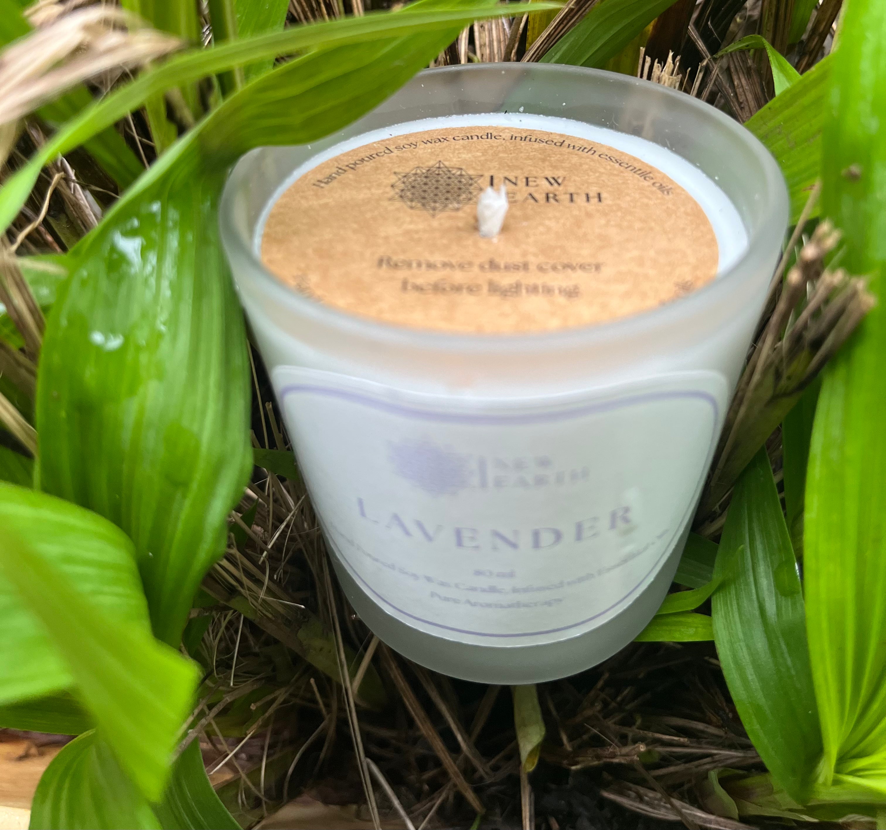 Lavender Mini  Candle