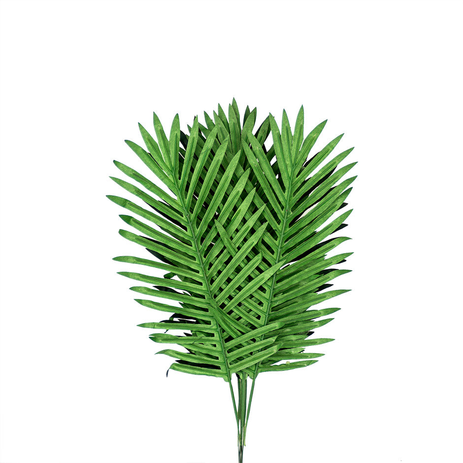 palm leaf