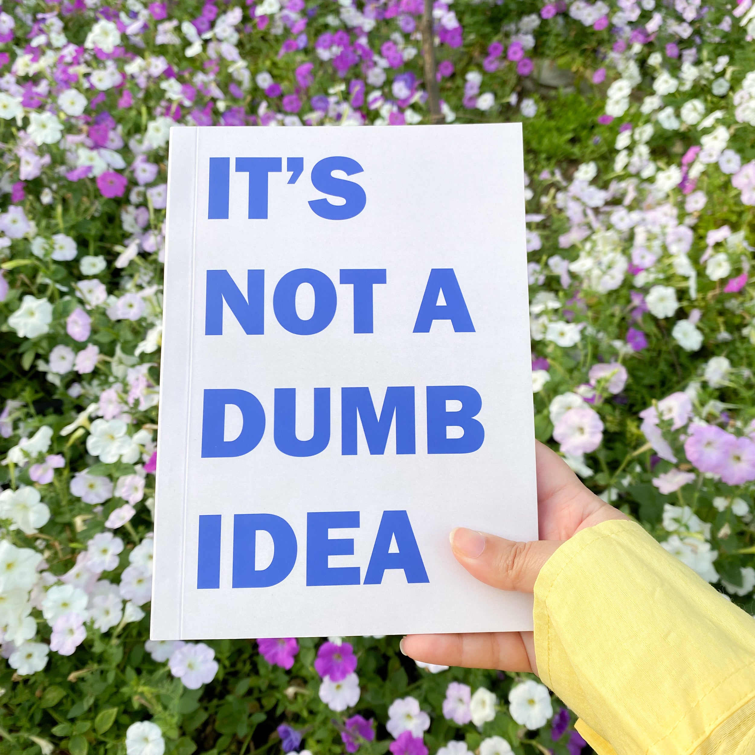 It's Not A Dumb Idea Notebook