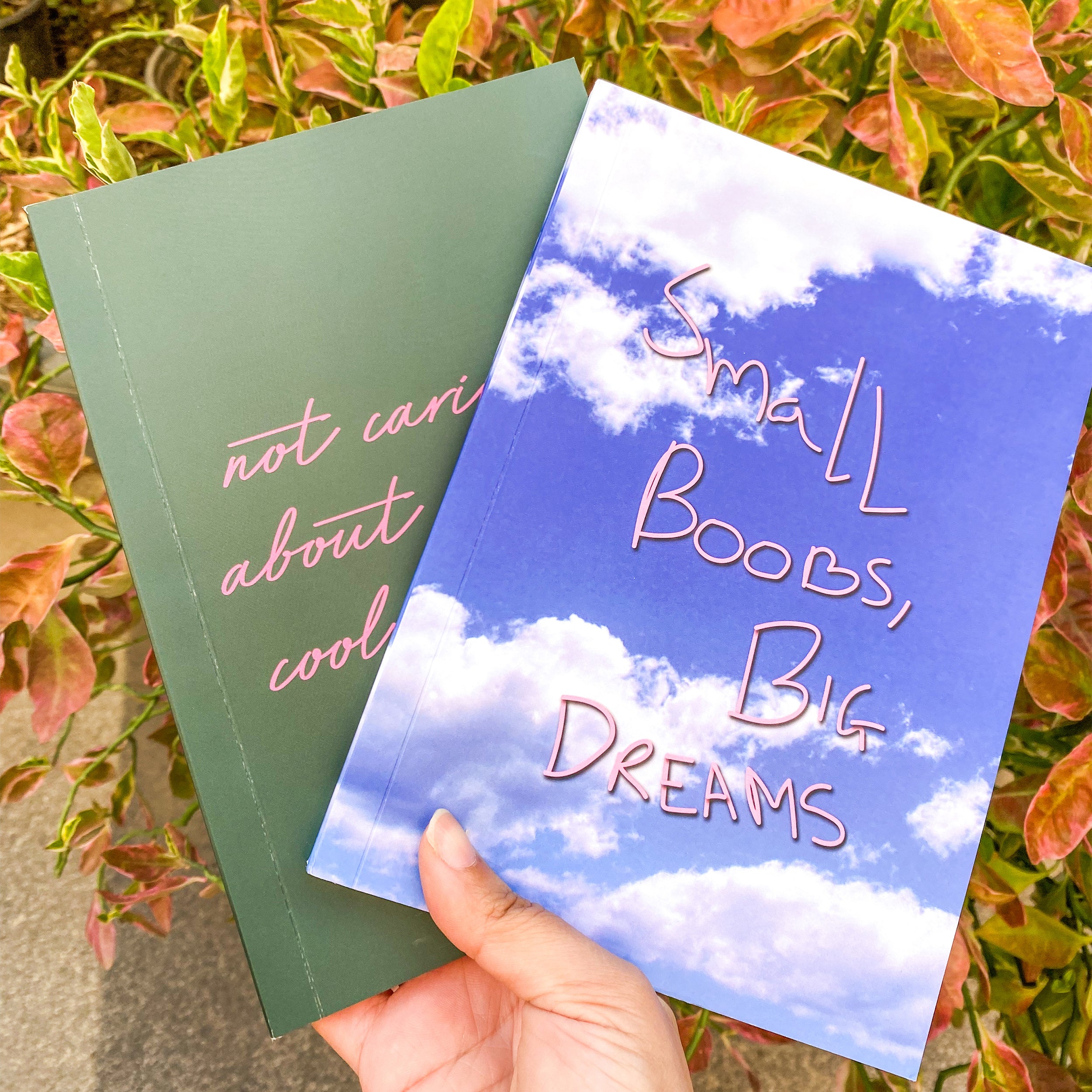 Small Boobs Big Dreams Notebook