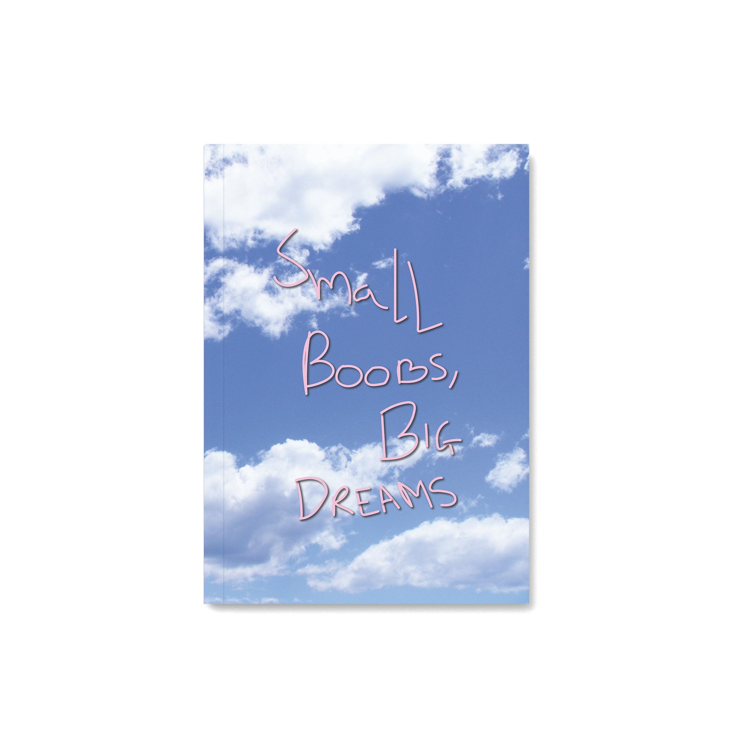 Small Boobs Big Dreams Notebook
