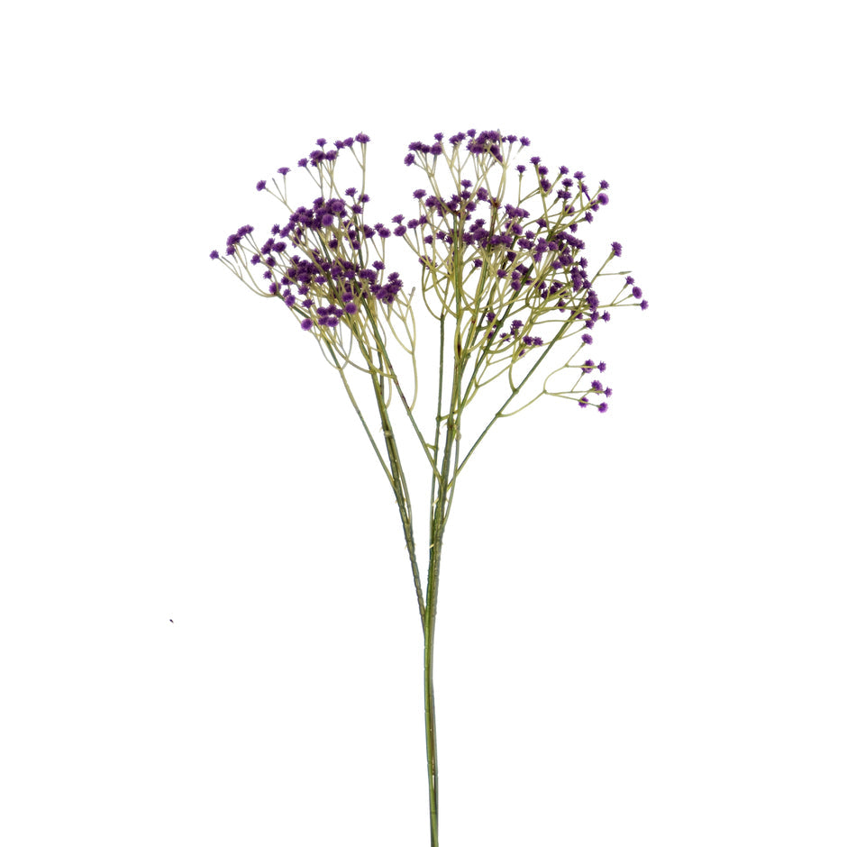 Zipso purple