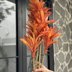 Dracaena flower burnt orange