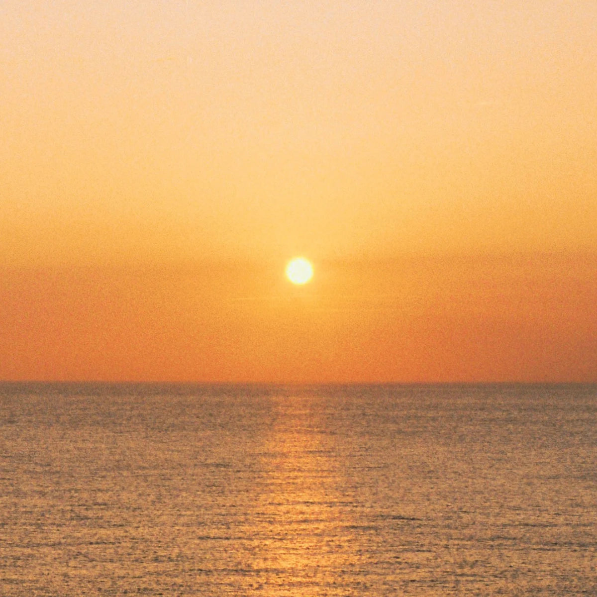 Golden Tide - Peach Coconut