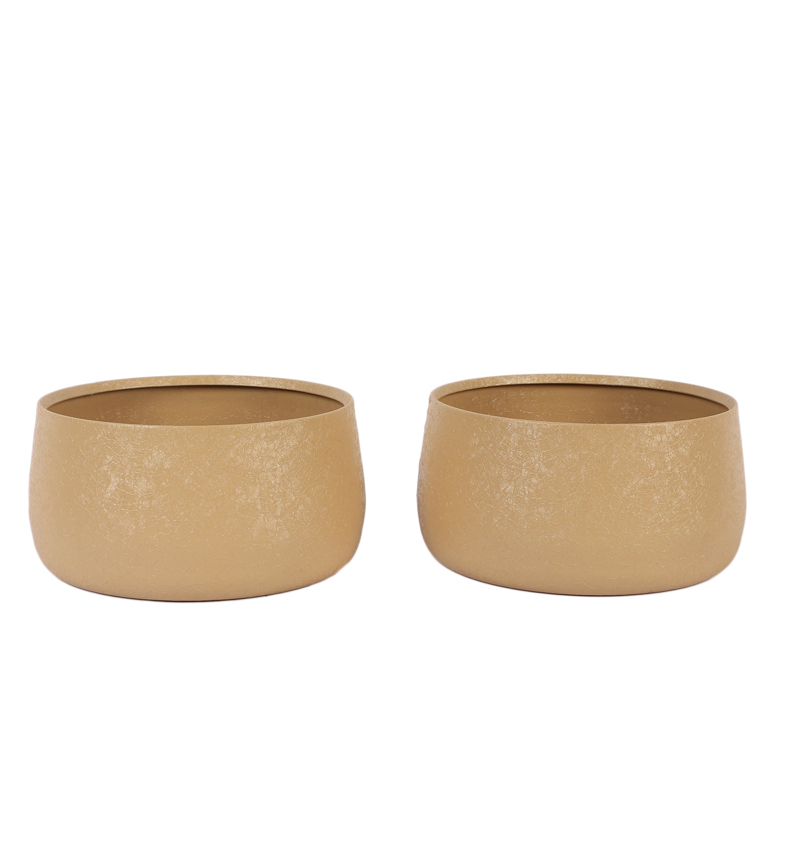 Amaya Decors Biege Bowl Textured Planter Set of 2