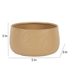 Amaya Decors Biege Bowl Textured Planter Set of 2
