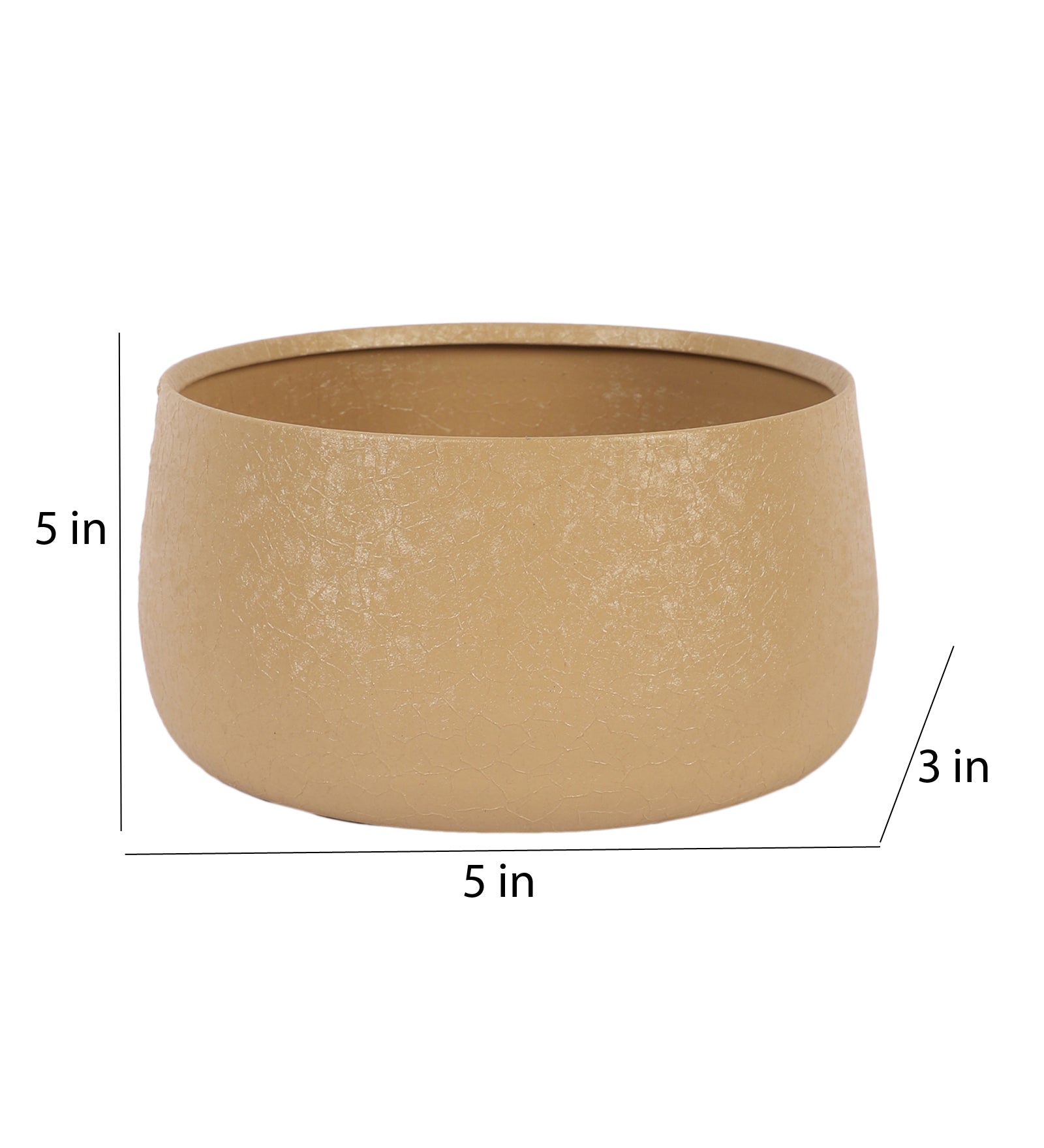 Amaya Decors Biege Bowl Textured Planter Set of 2