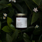 Night Bloom – Jasmine