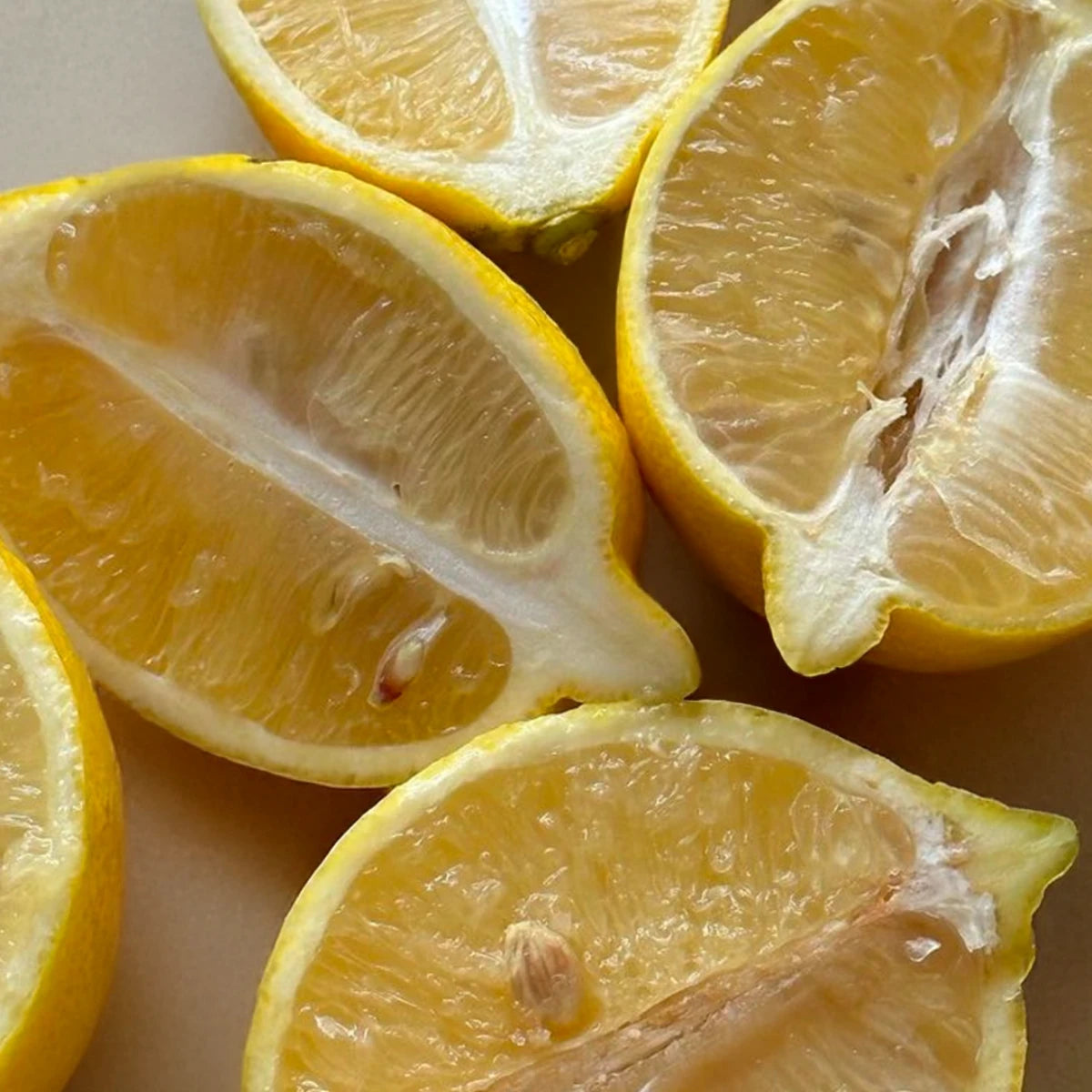 Lemon Canopy – Lemonade