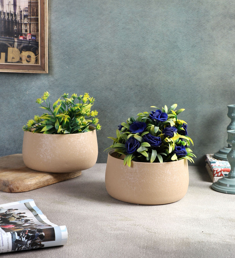 Amaya Decors Biege Bowl Textured Planter Set of 2
