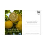 Scent of Summer – Postcards with Tin Candle